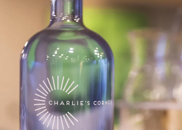 Hotel Ibis Zuerich Messe Airport